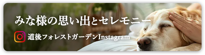 みな様の思い出とセレモニー 道後フォレストガーデンInstagam